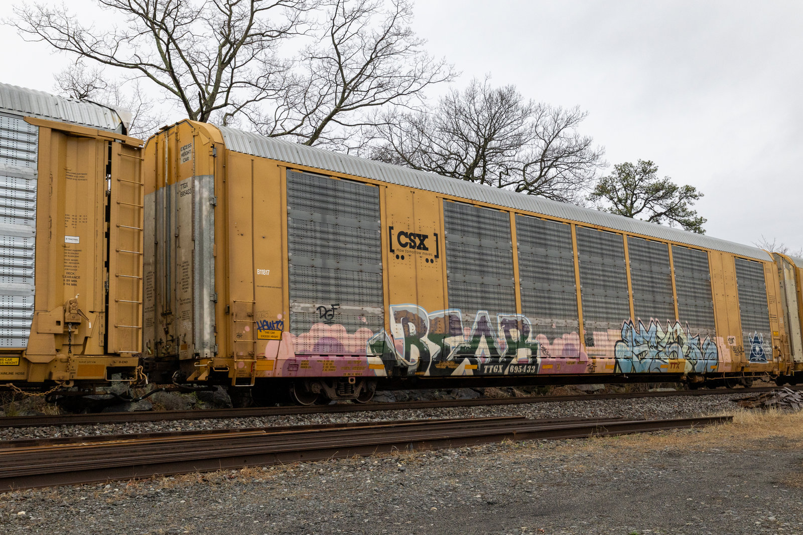 TTGX 695433