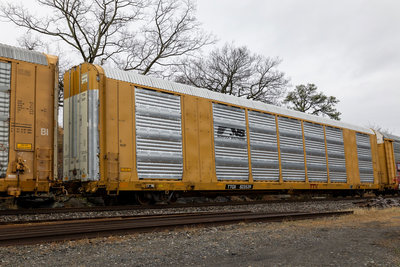 TTGX 823539