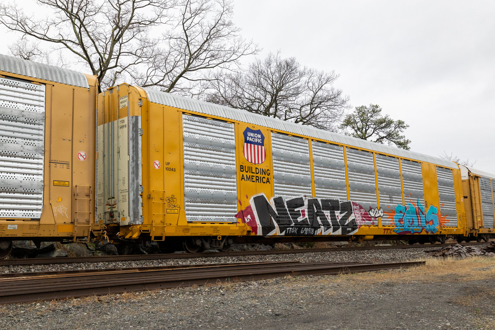 TTGX 698918