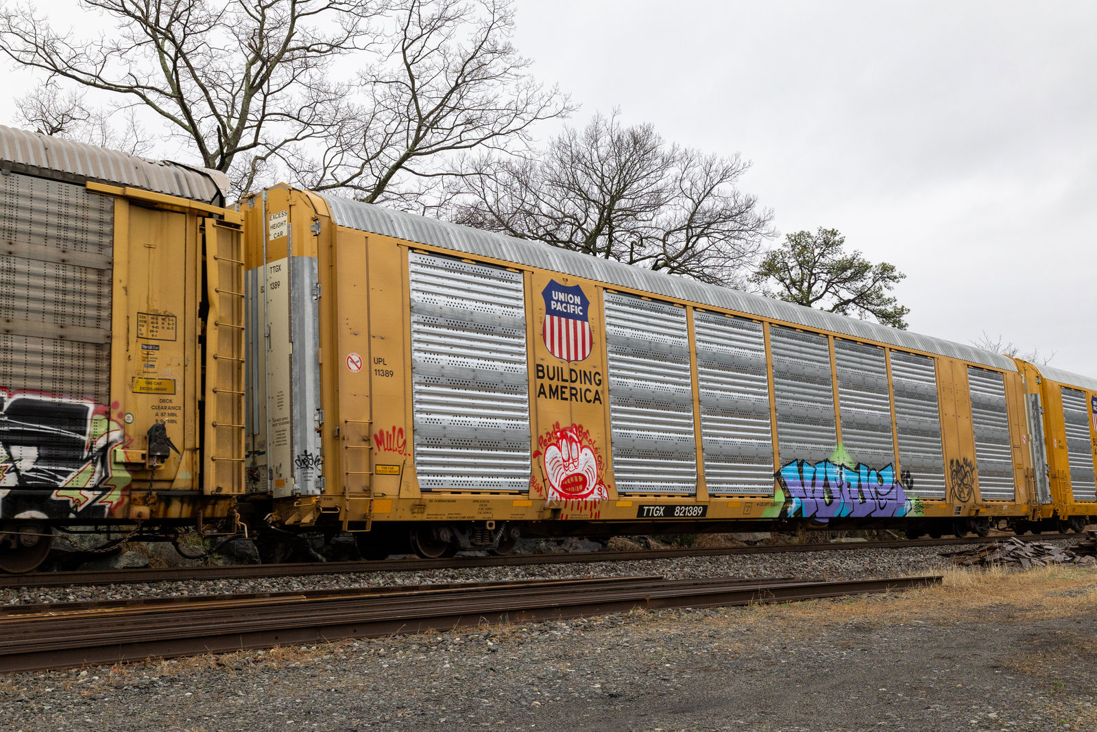 TTGX 821389