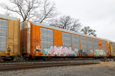 TTGX 694675