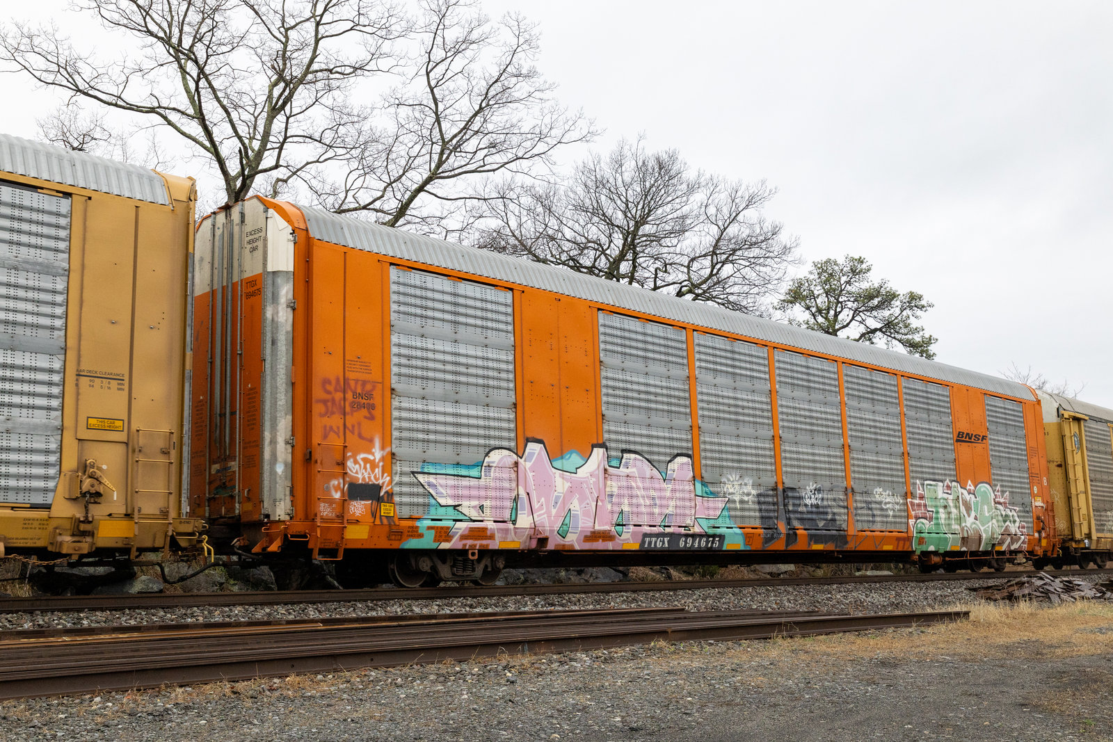 TTGX 694675