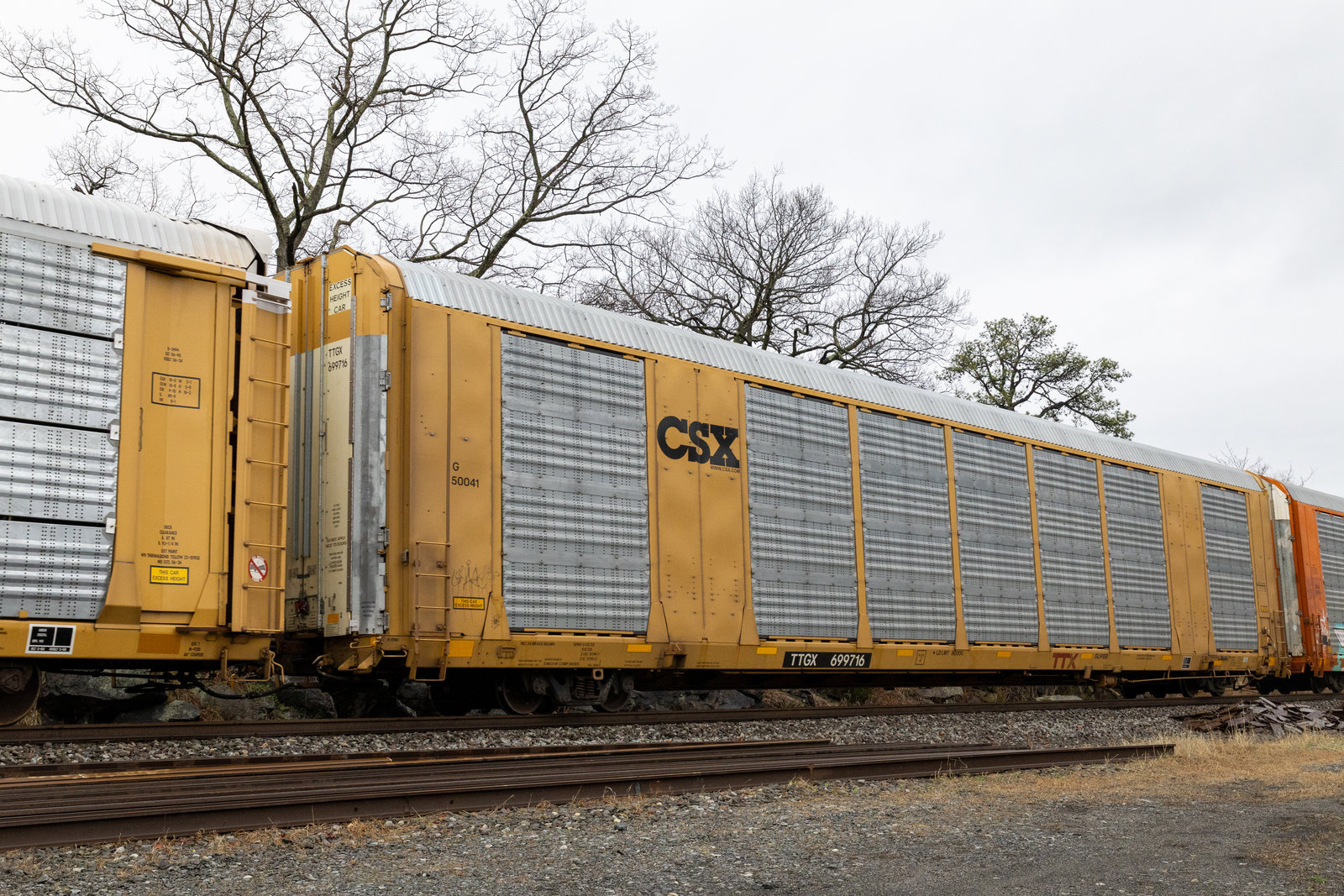 TTGX 699716