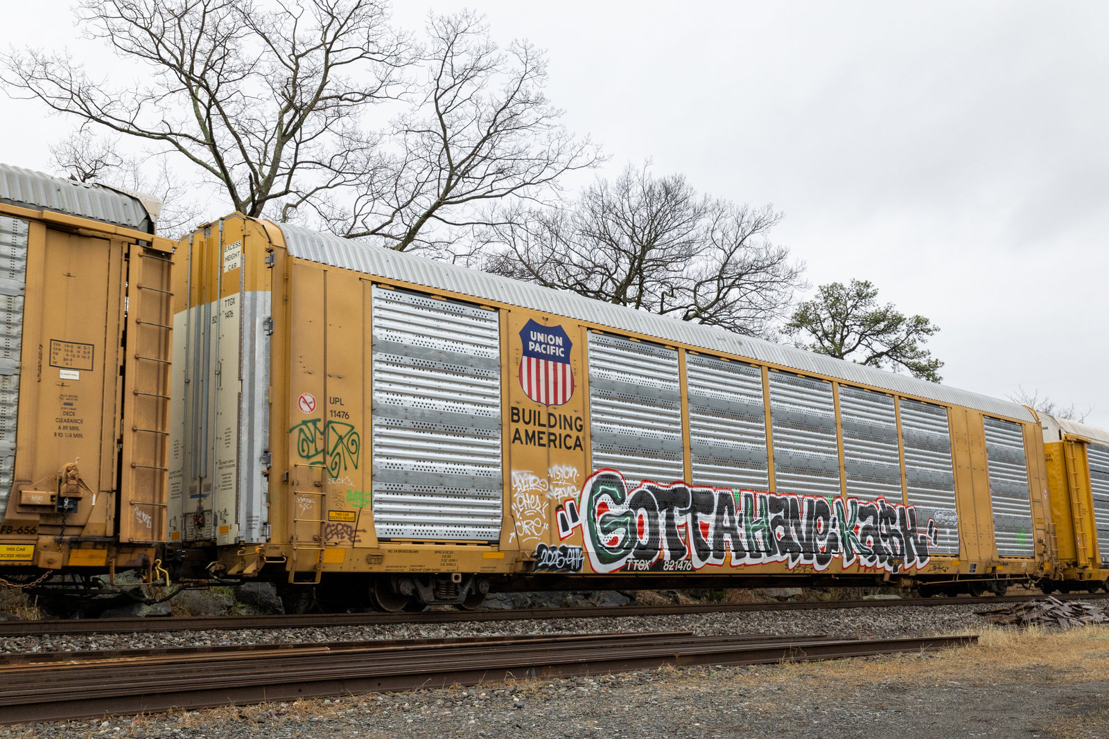 TTGX 821476