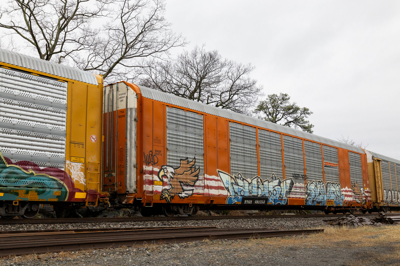 TTGX 693258