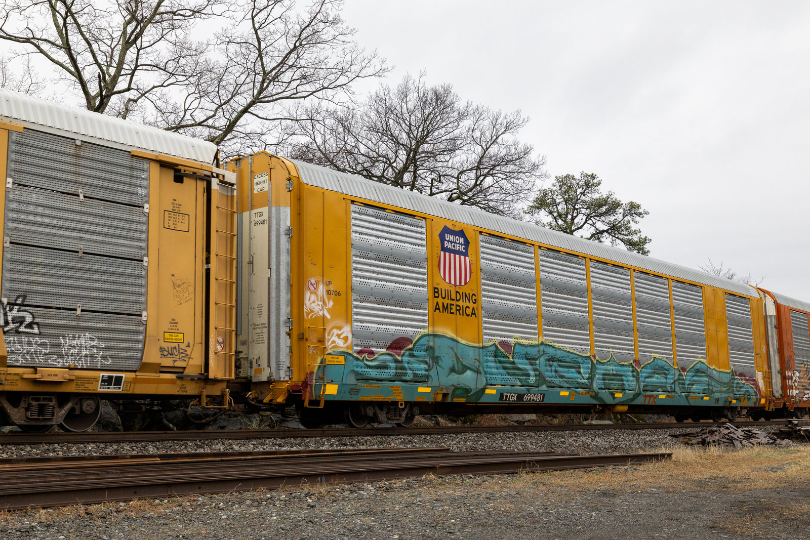 TTGX 699481