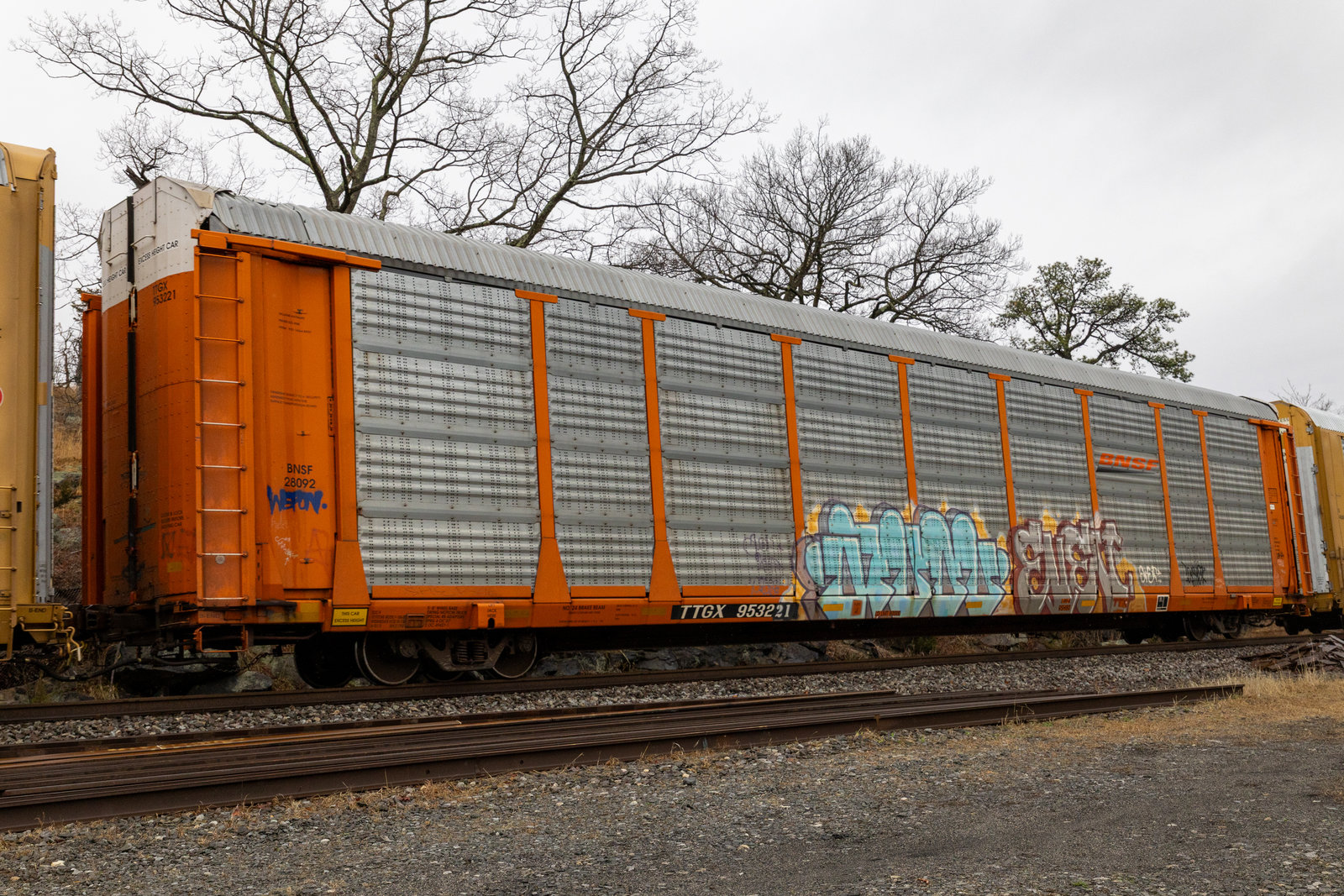 TTGX 953221