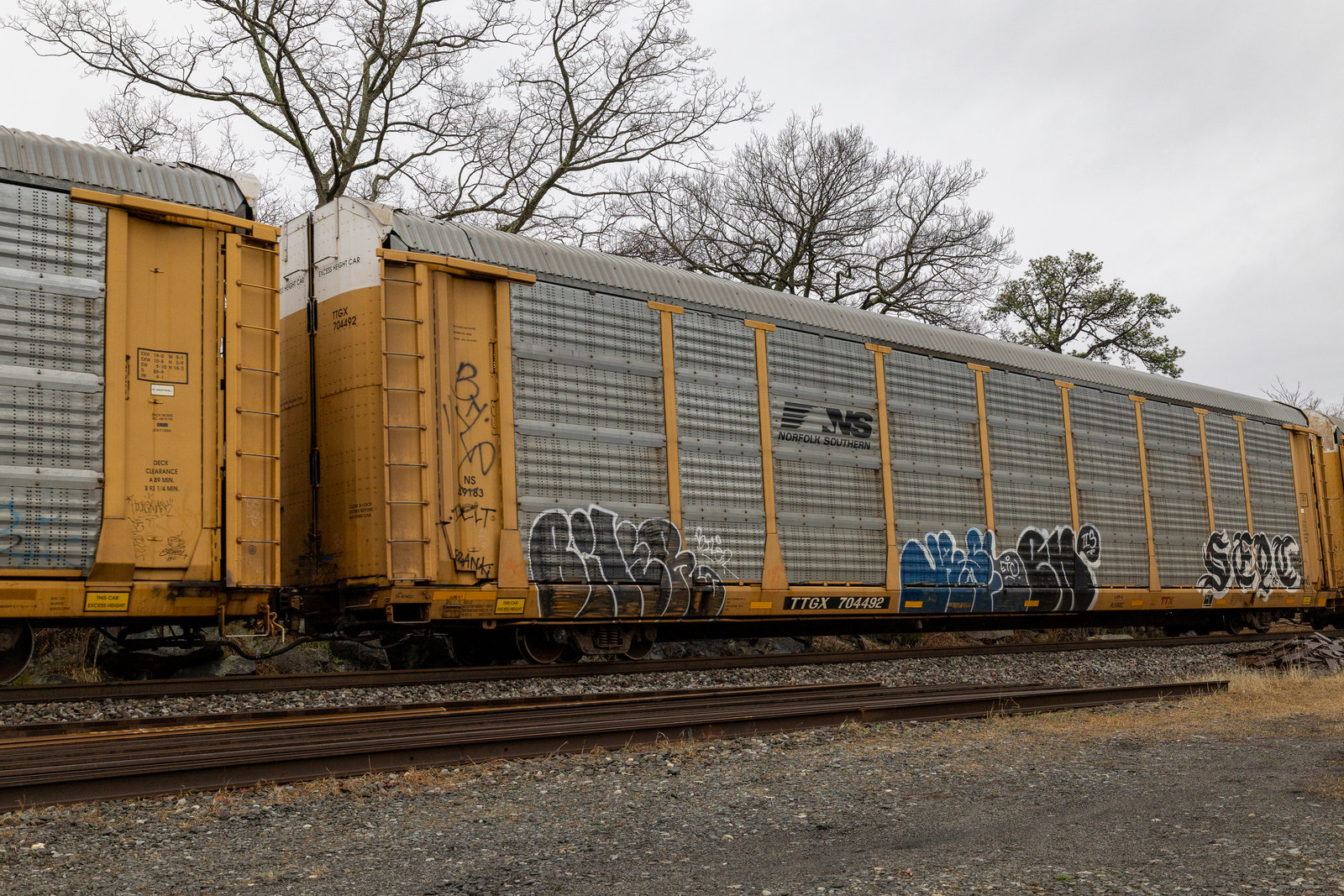TTGX 704492