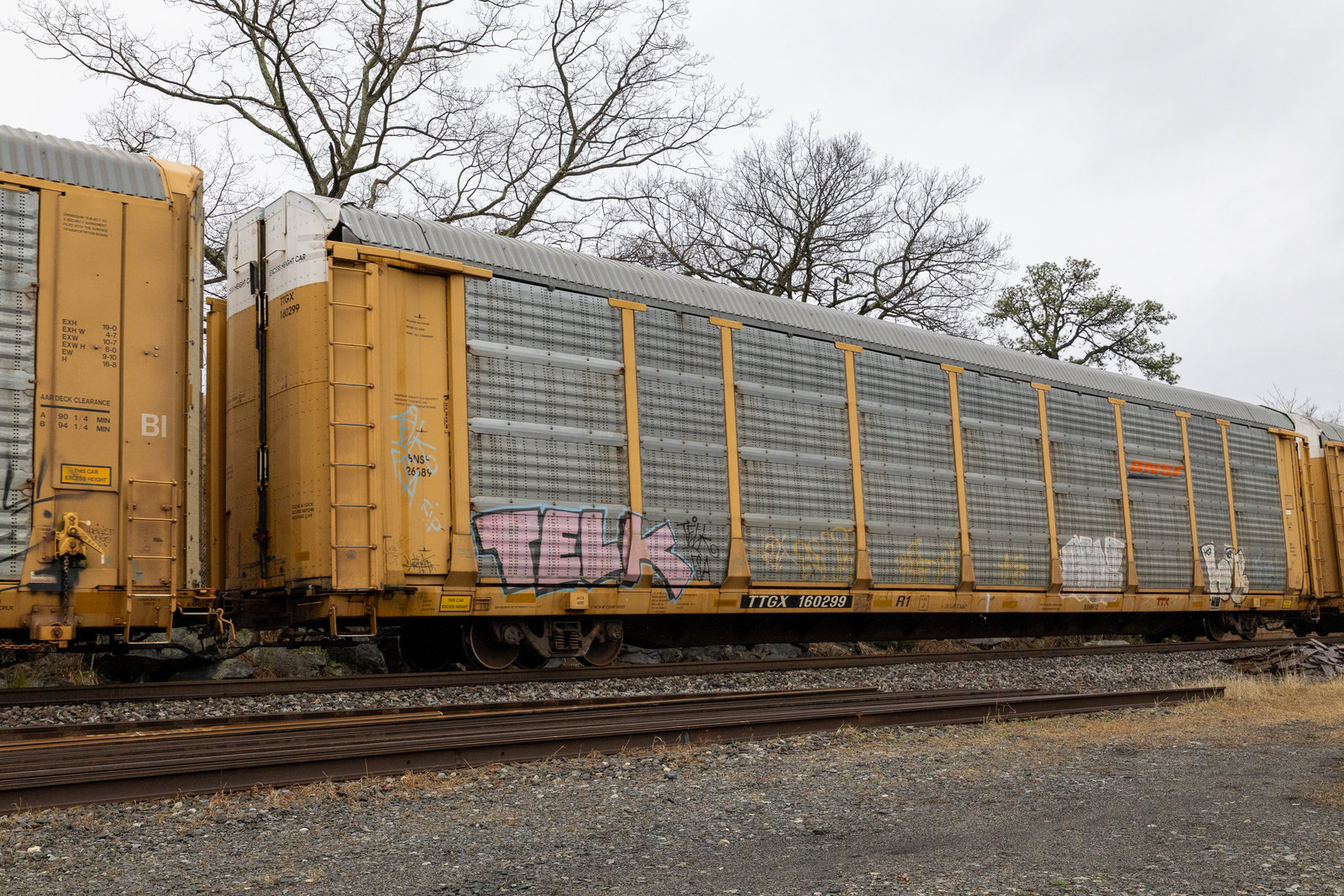 TTGX 160299