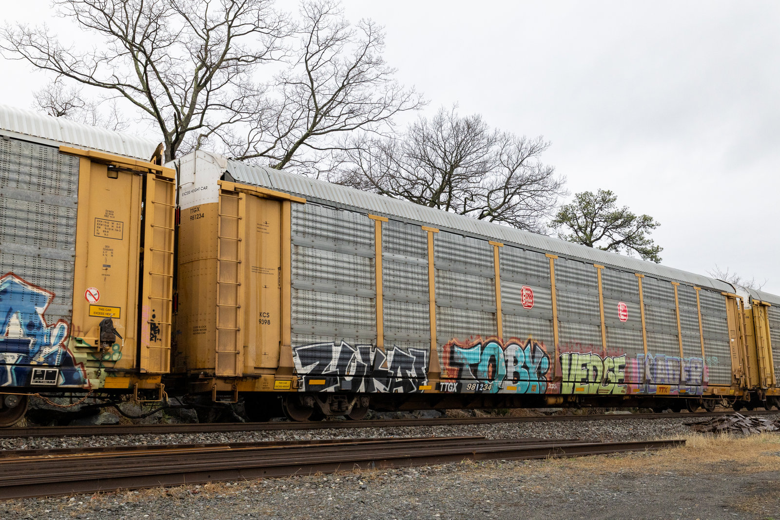 TTGX 981234