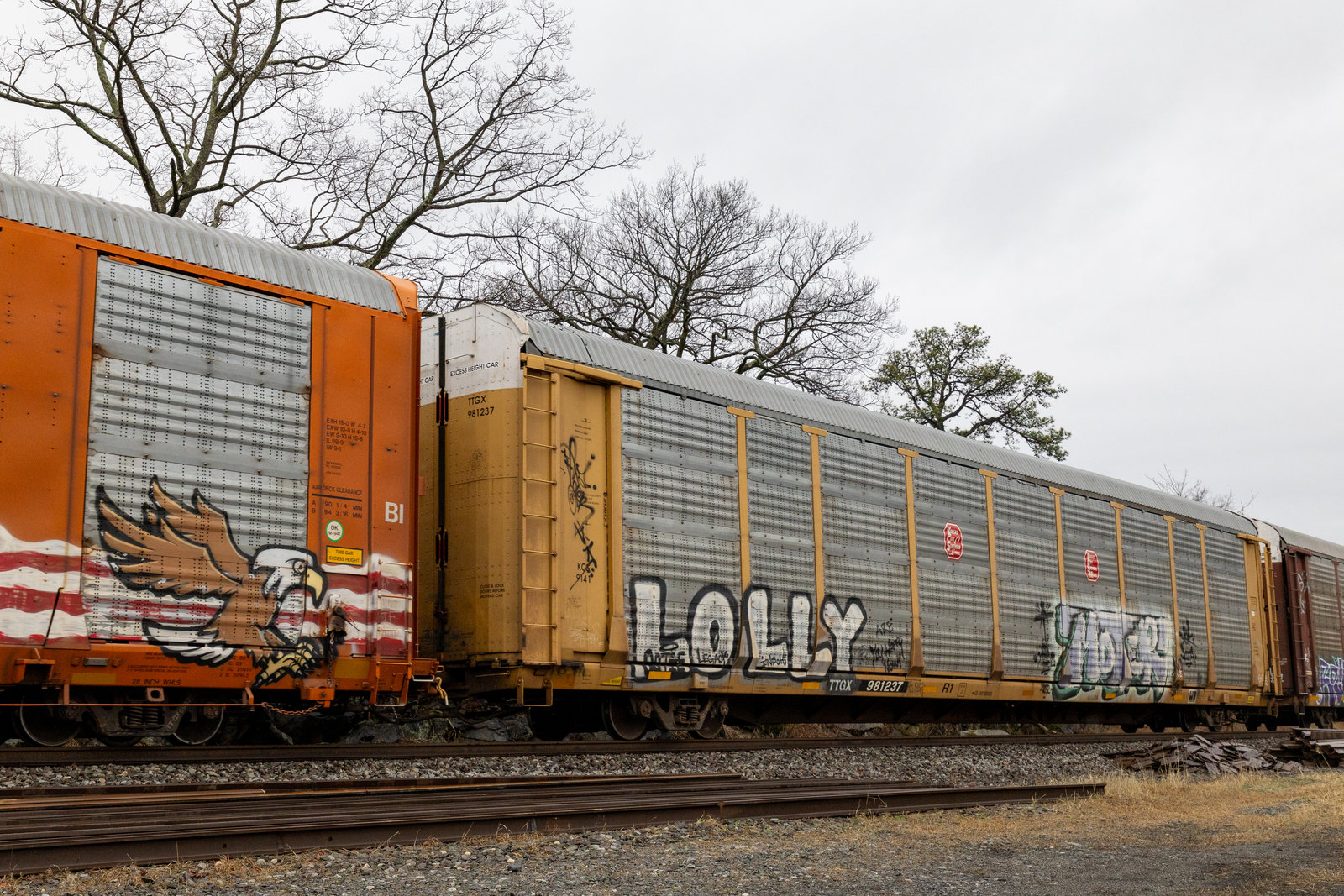 TTGX 981237
