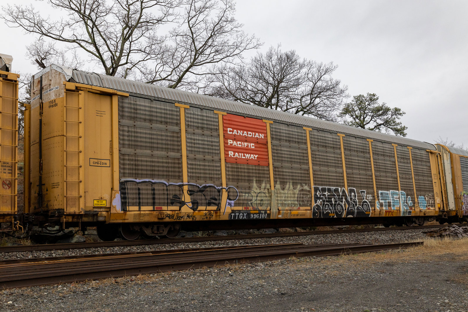 TTGX 996101