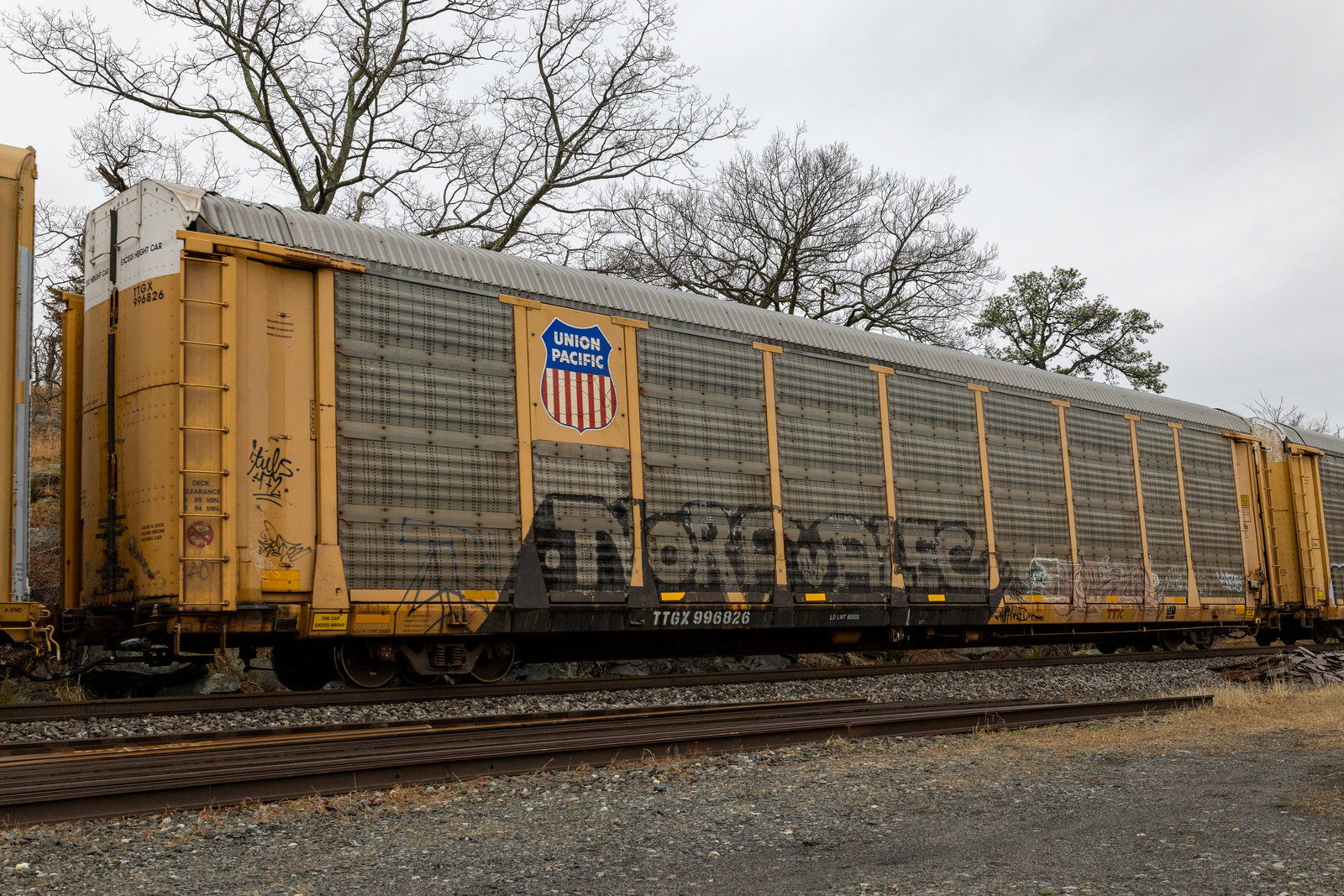 TTGX 996826
