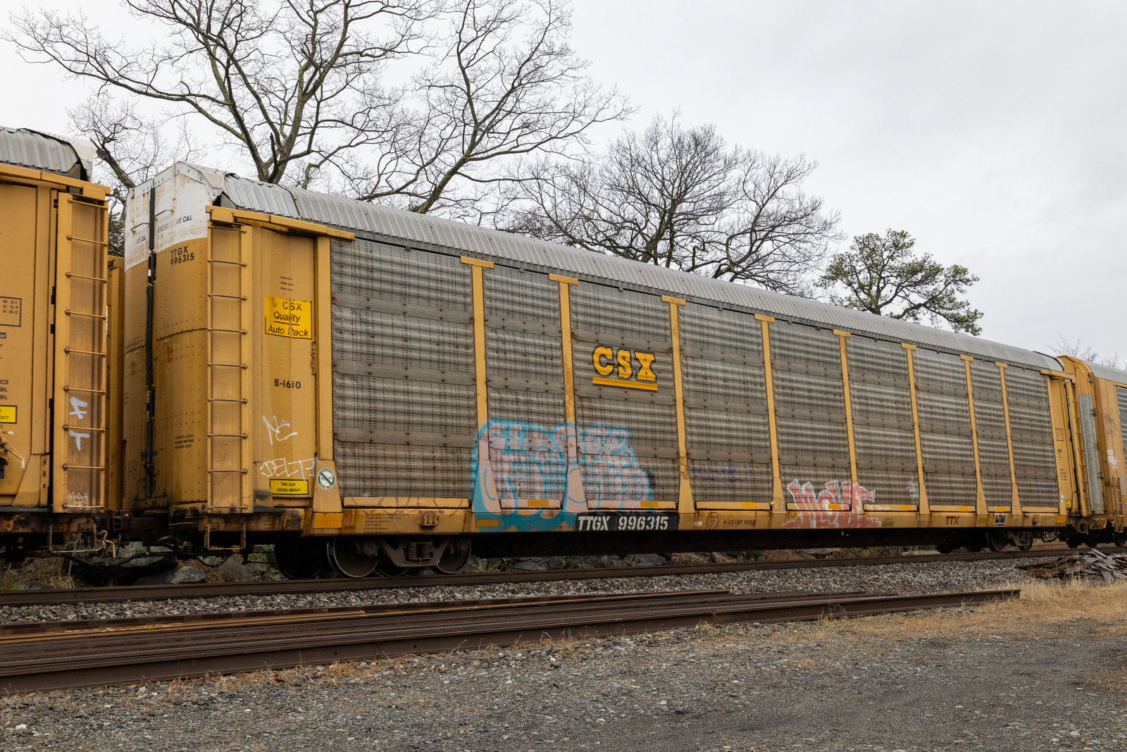 TTGX 996315