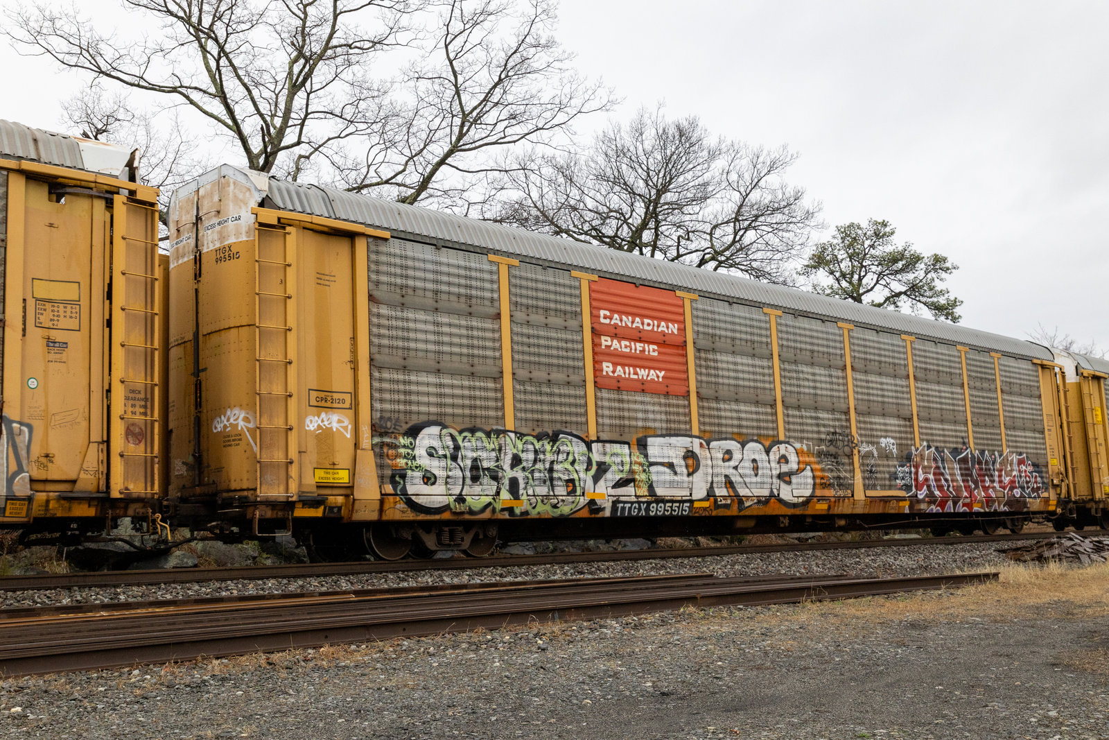 TTGX 995515