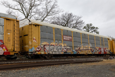 TTGX 975801