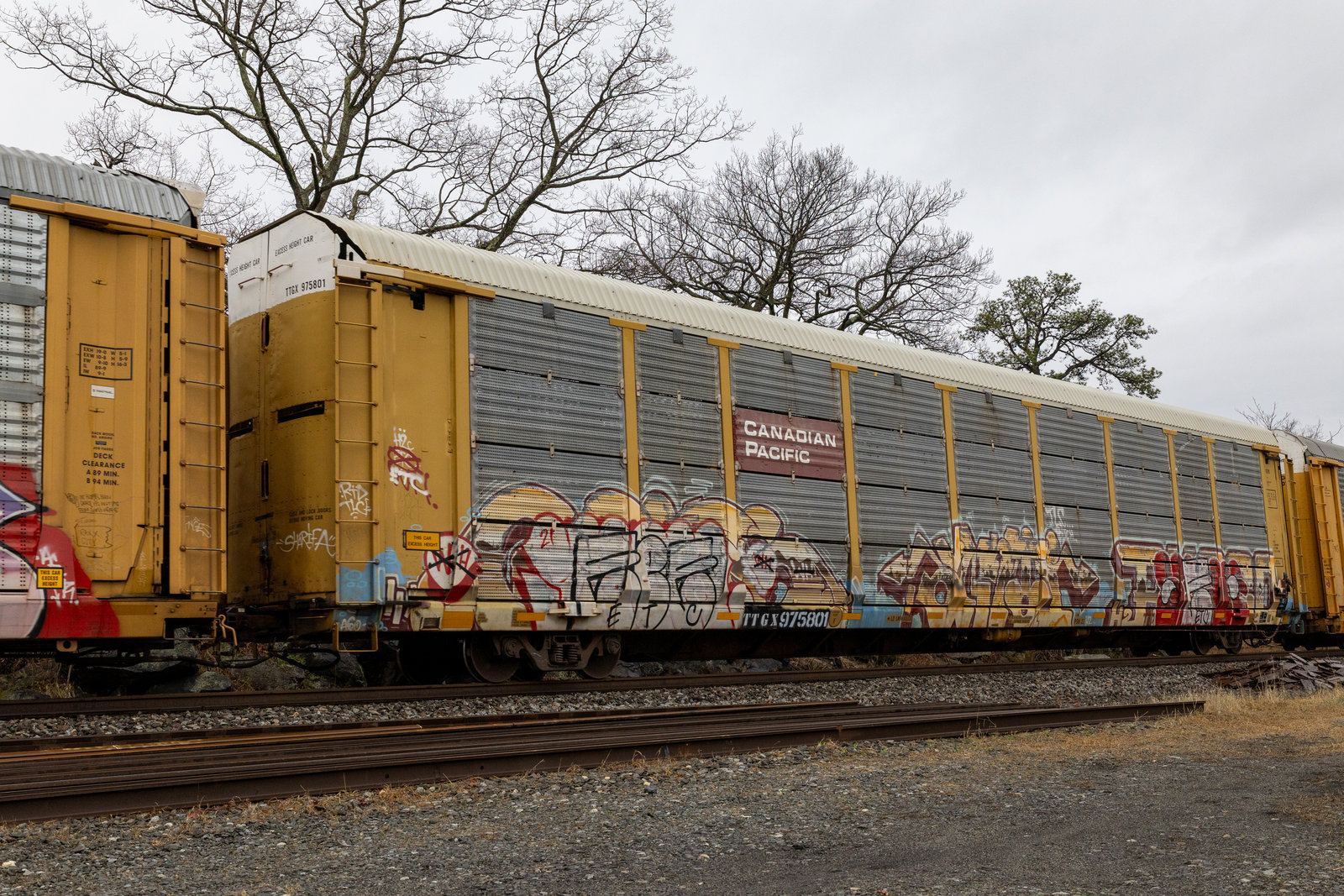 TTGX 975801
