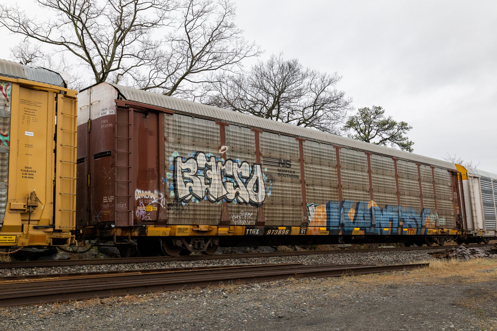 TTGX 973896