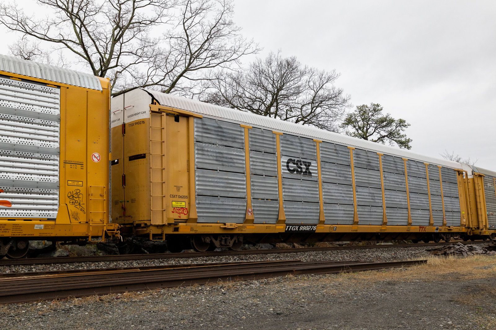 TTGX 990276