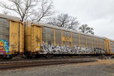 TTGX 979641