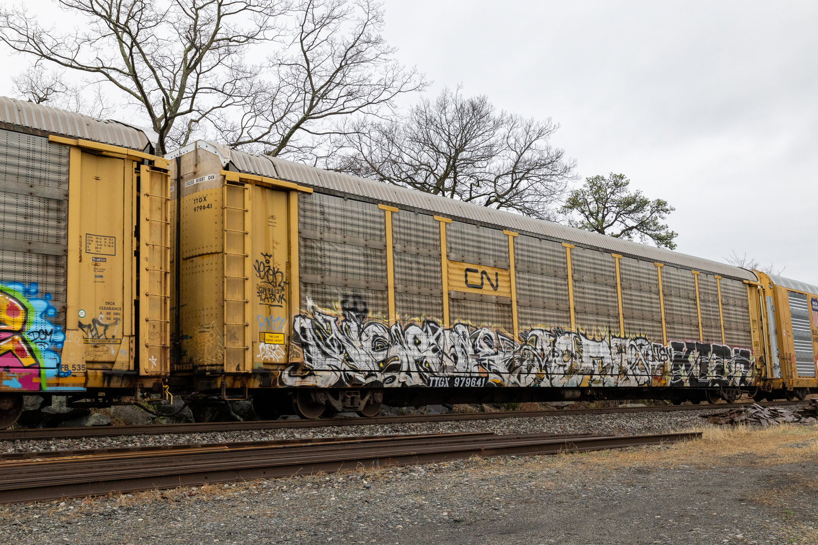 TTGX 979641