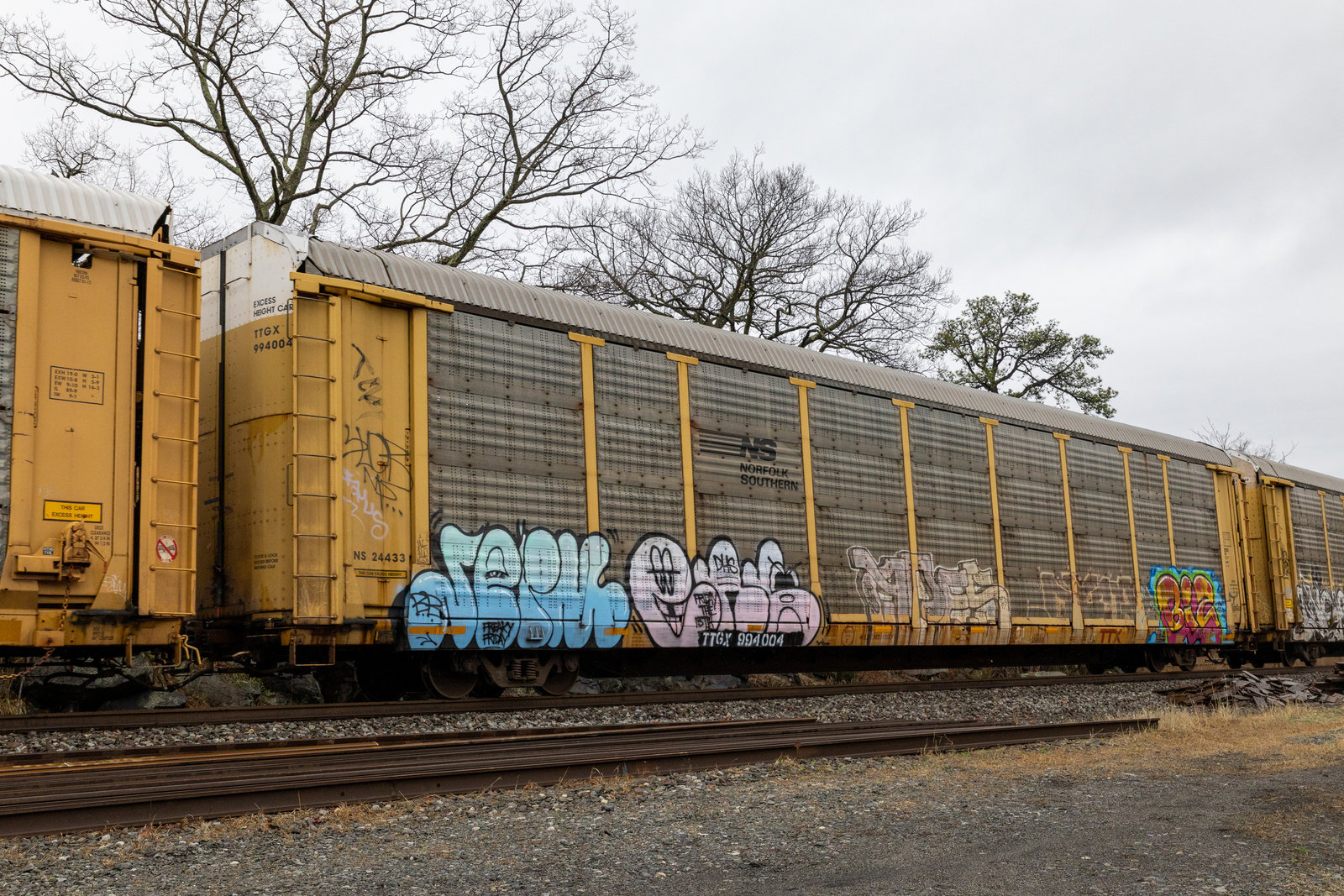 TTGX 994004