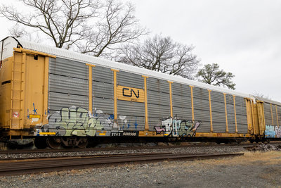 TTGX 980386