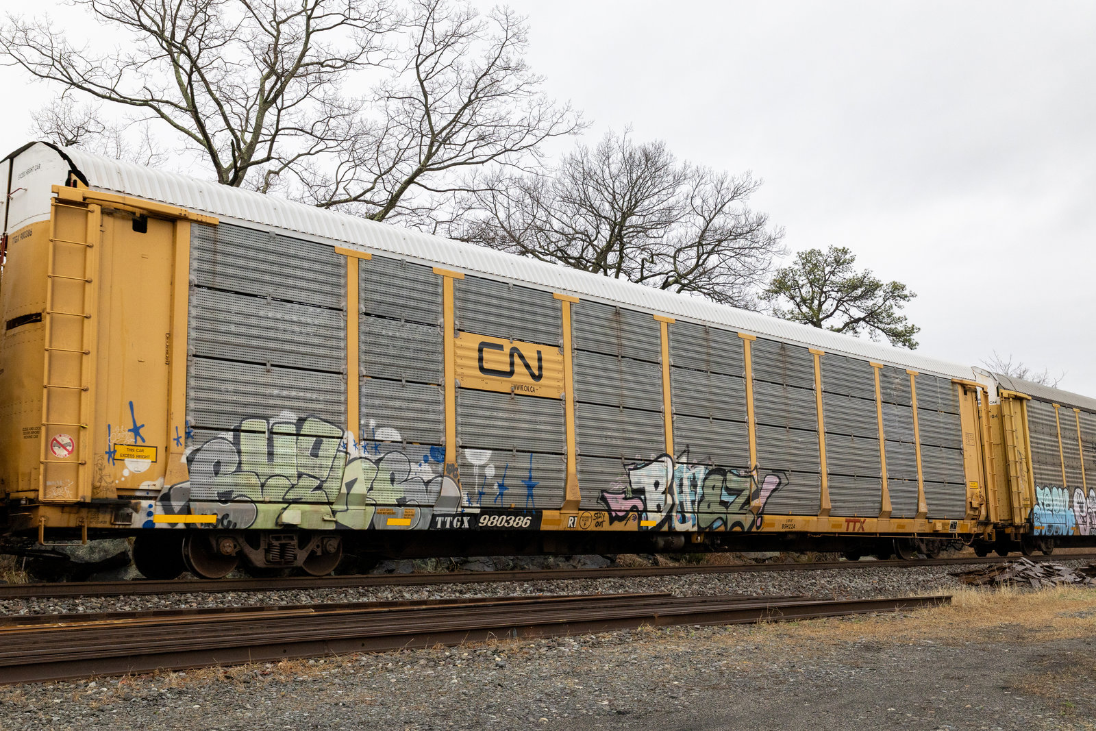 TTGX 980386