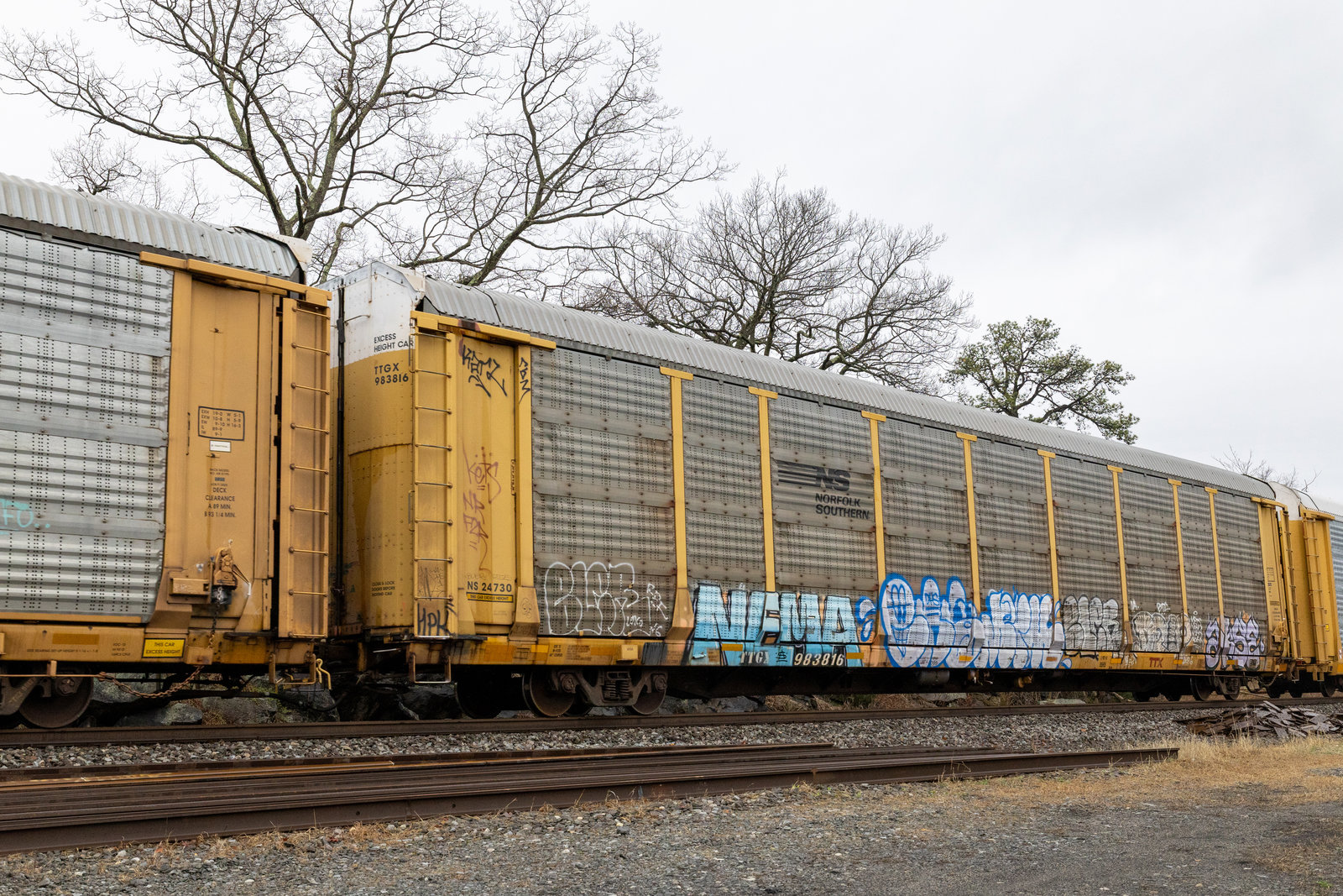 TTGX 983816