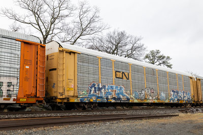 TTGX 981292