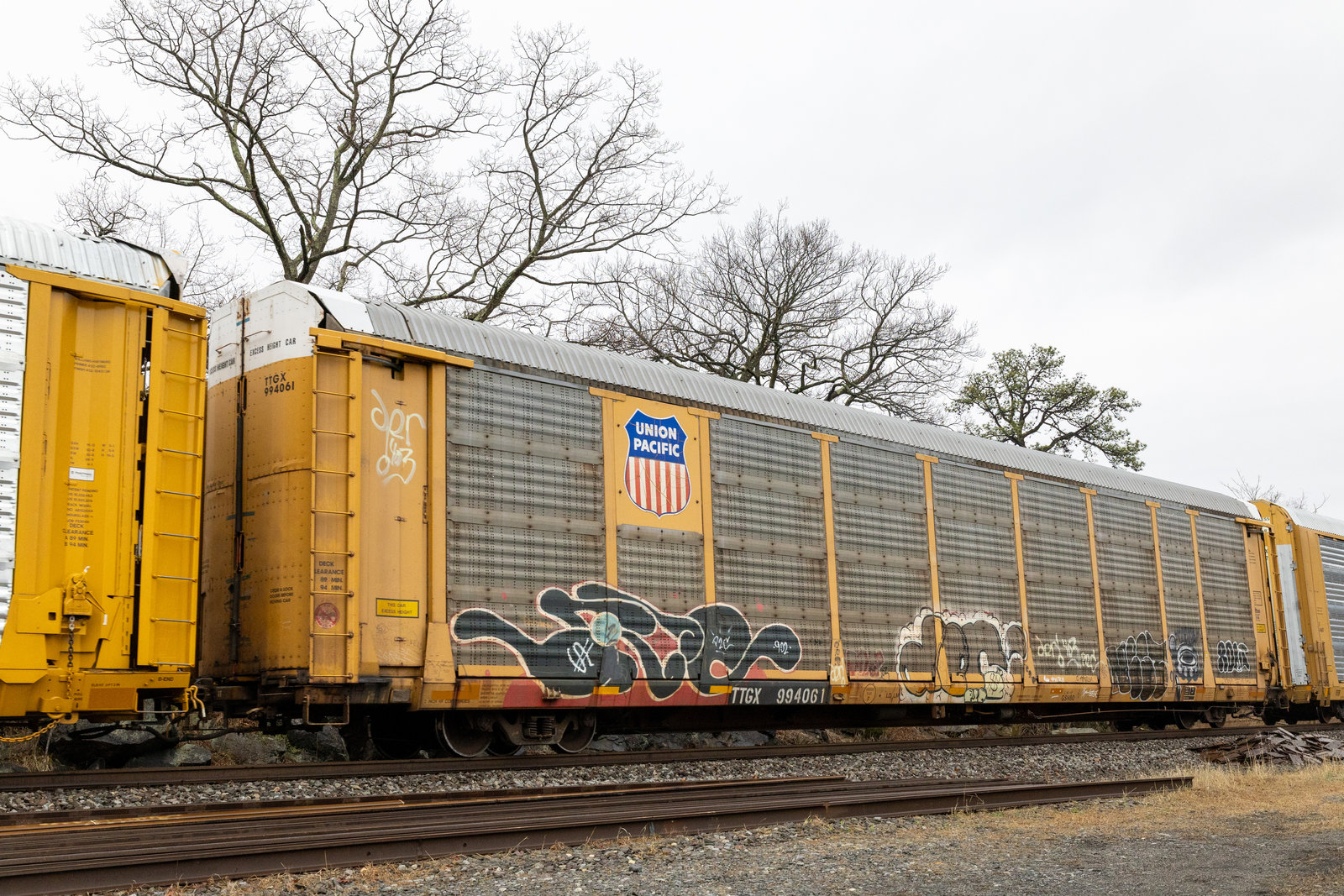 TTGX 994061