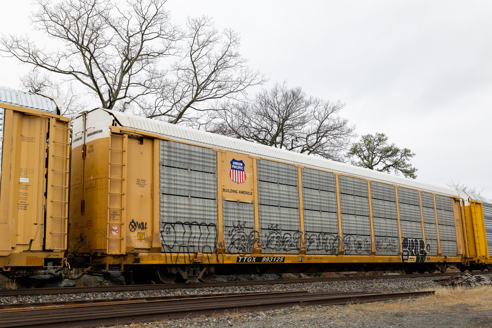 TTGX 993125