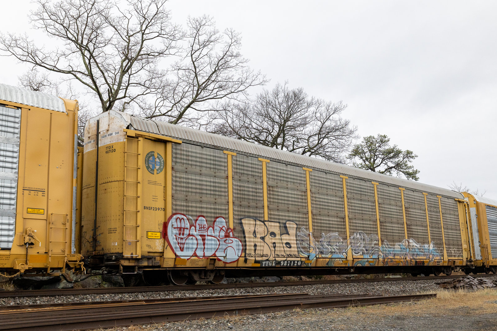 TTGX 987120