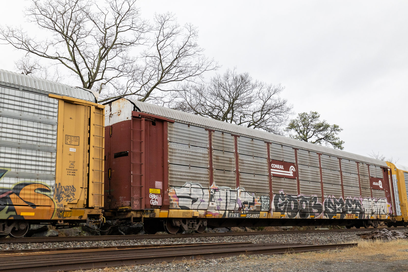 TTGX 964197