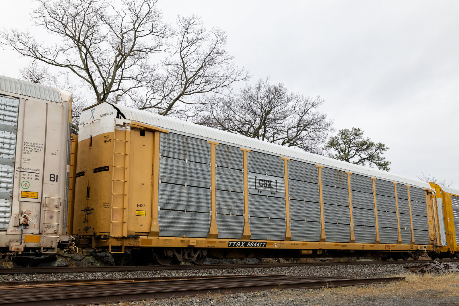 TTGX 964477