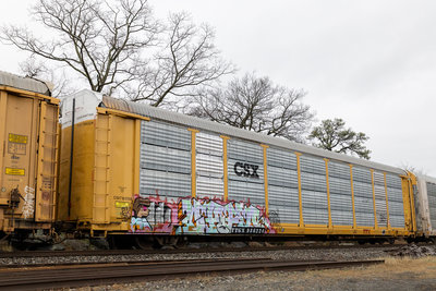 TTGX 986224