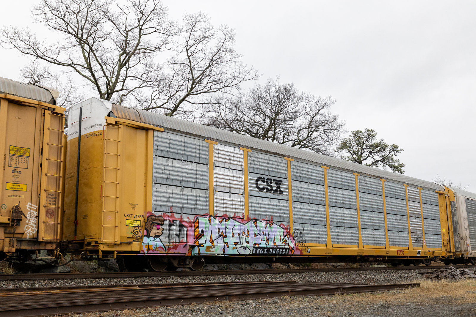 TTGX 986224