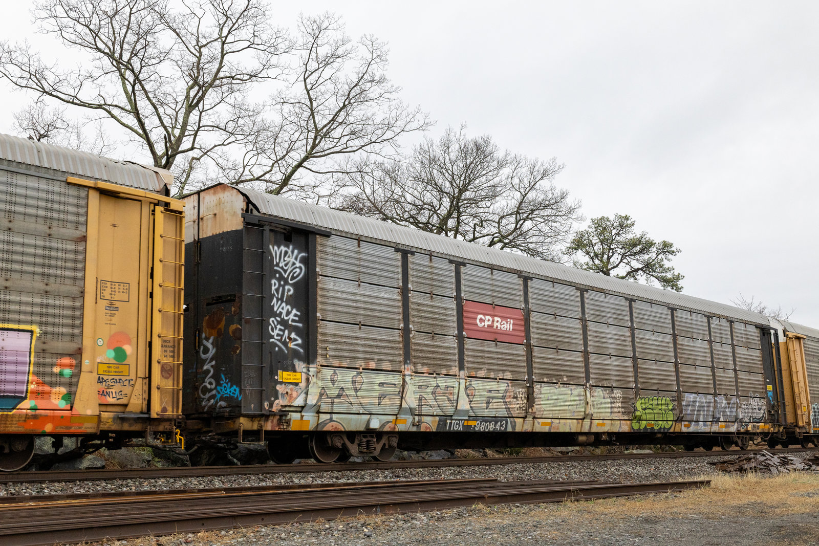 TTGX 980843