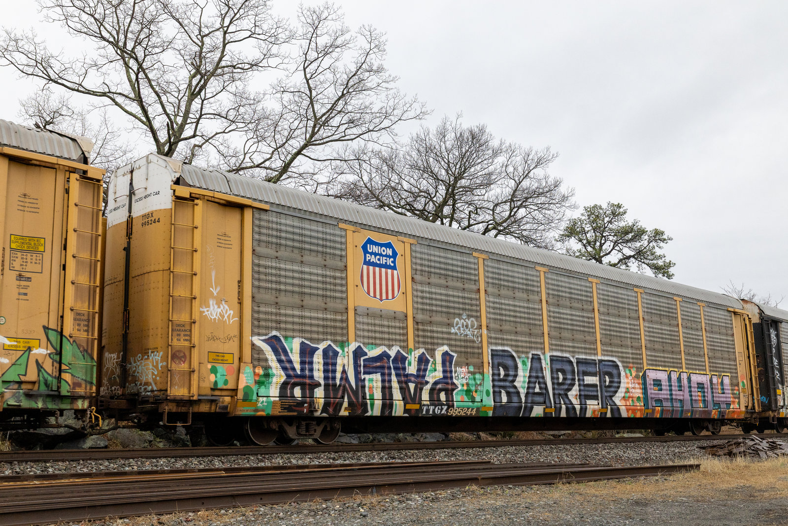 TTGX 995244