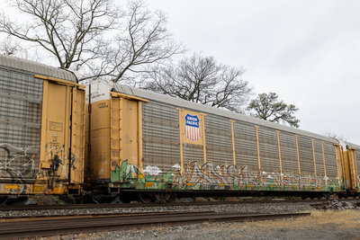 TTGX 985198