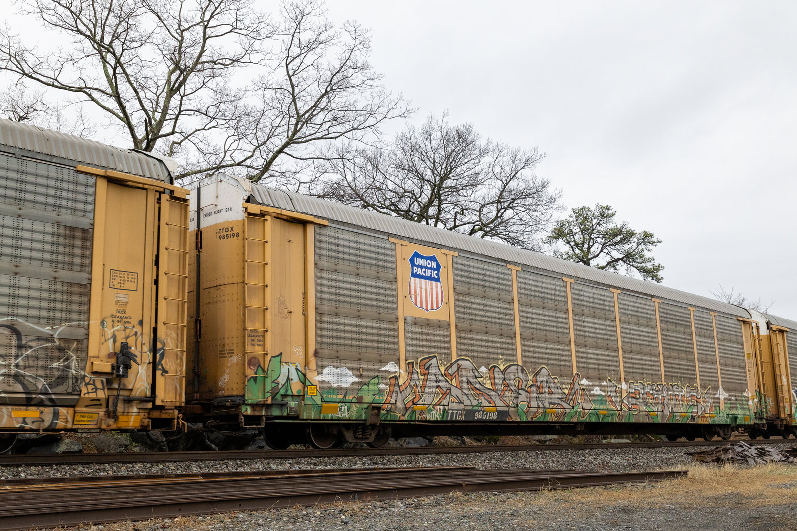 TTGX 985198