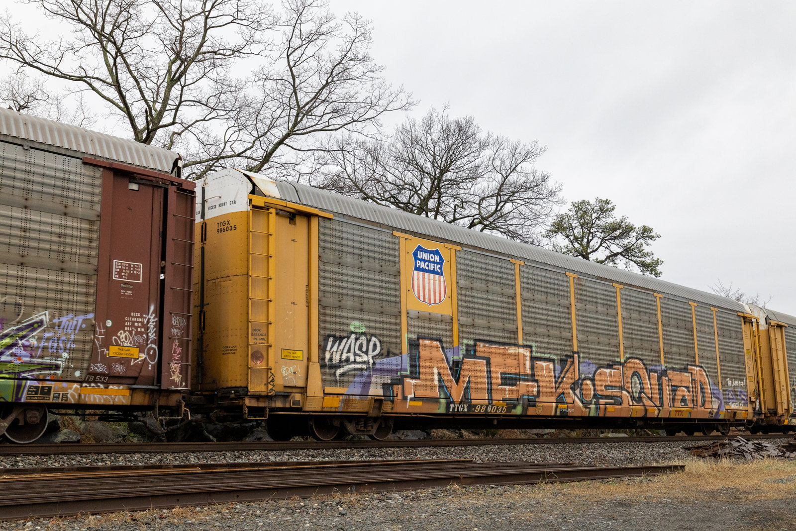 TTGX 986035