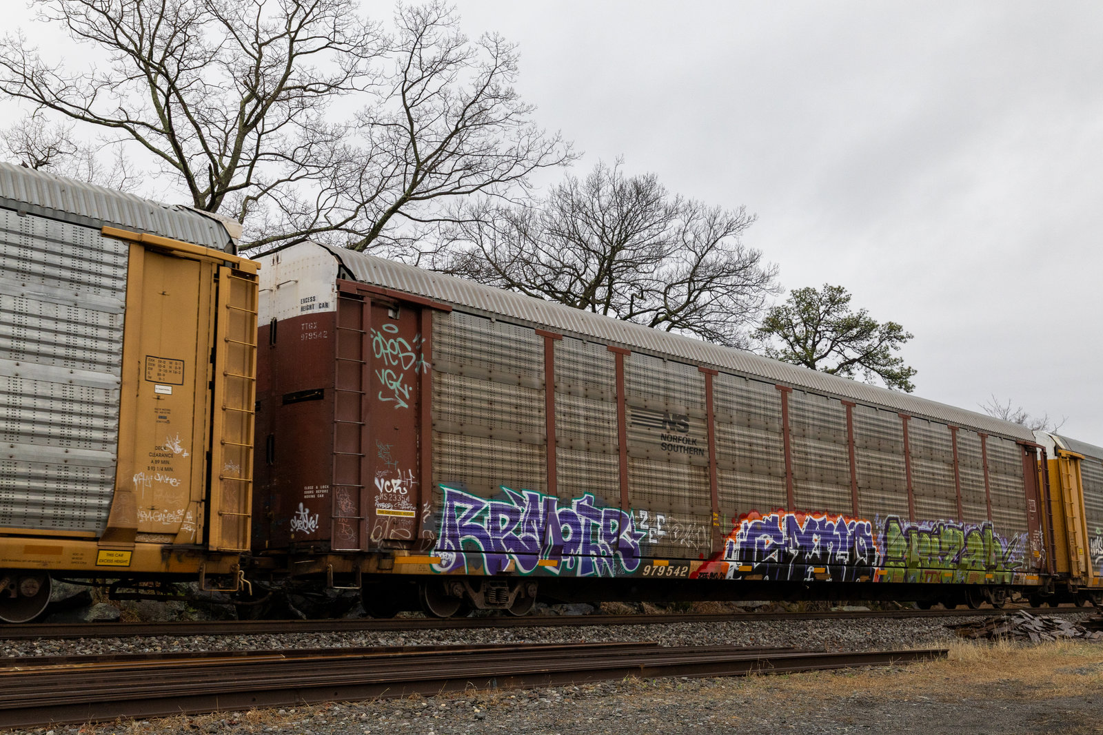 TTGX 979542