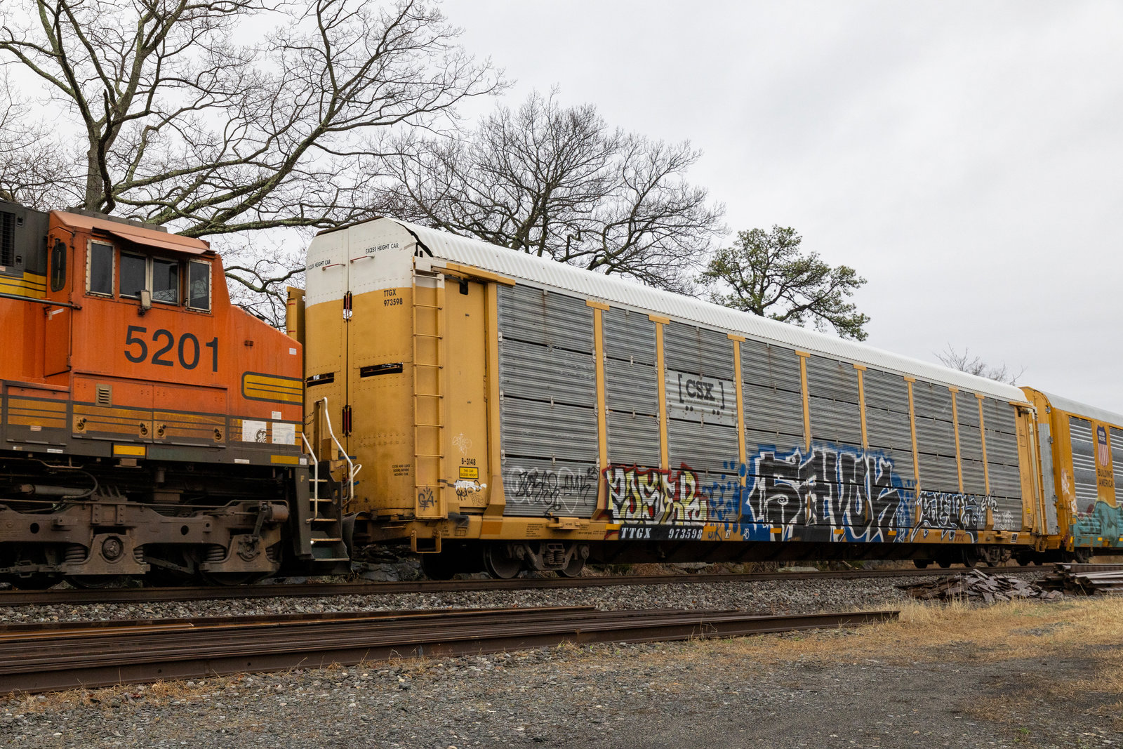 TTGX 973598