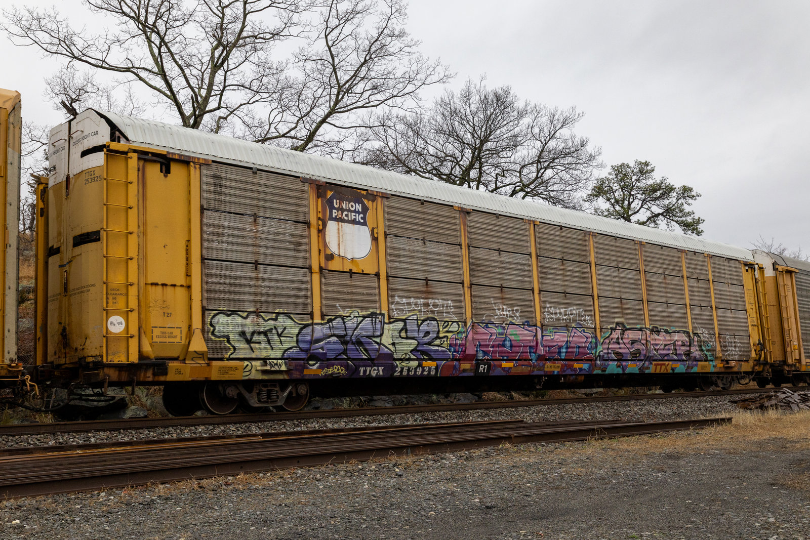 TTGX 253925