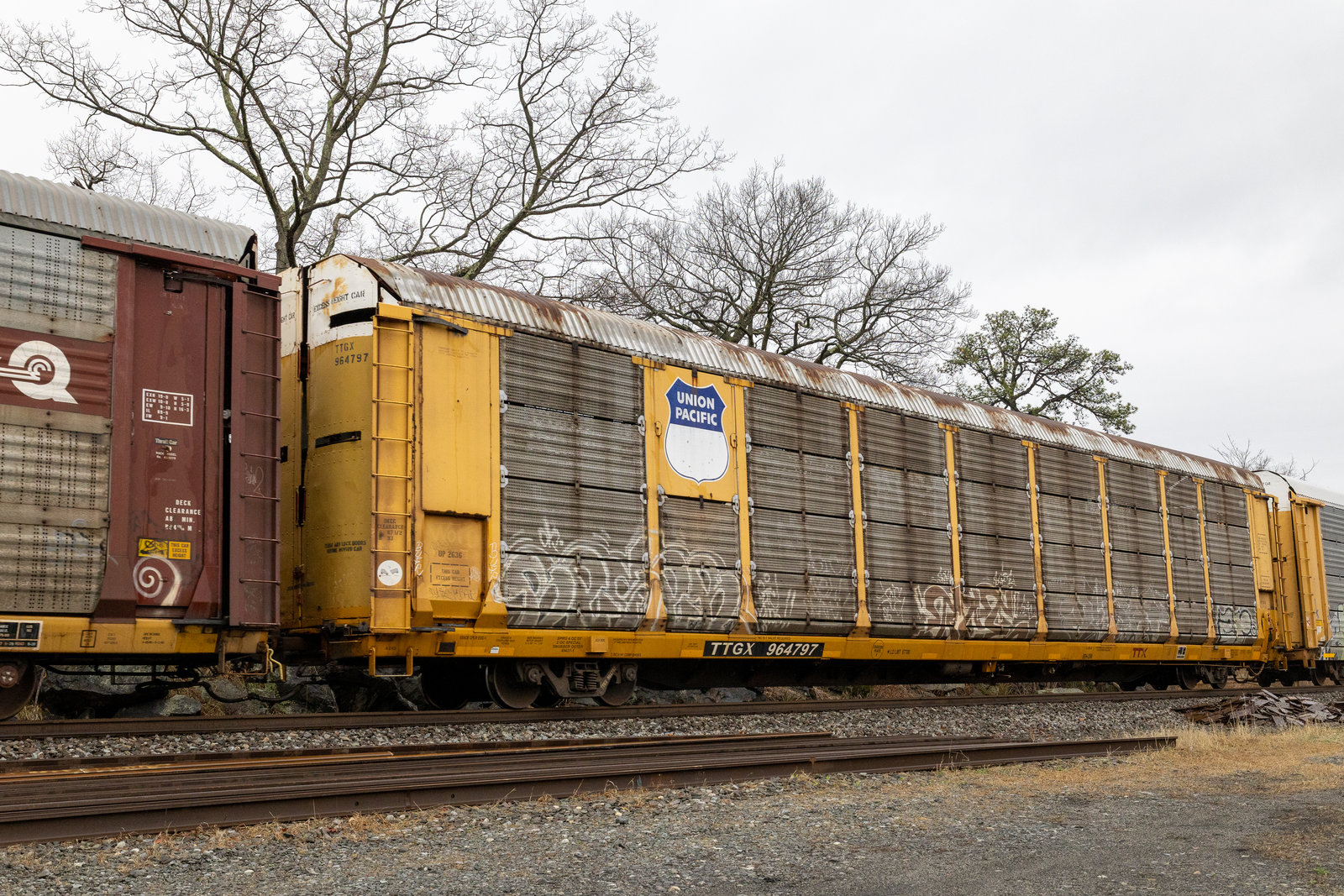 TTGX 964797