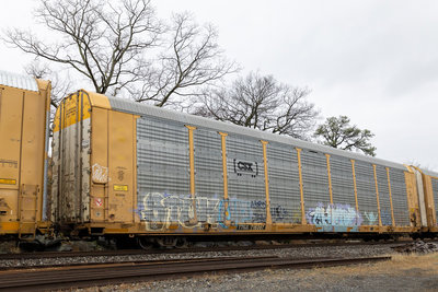 TTGX 716307