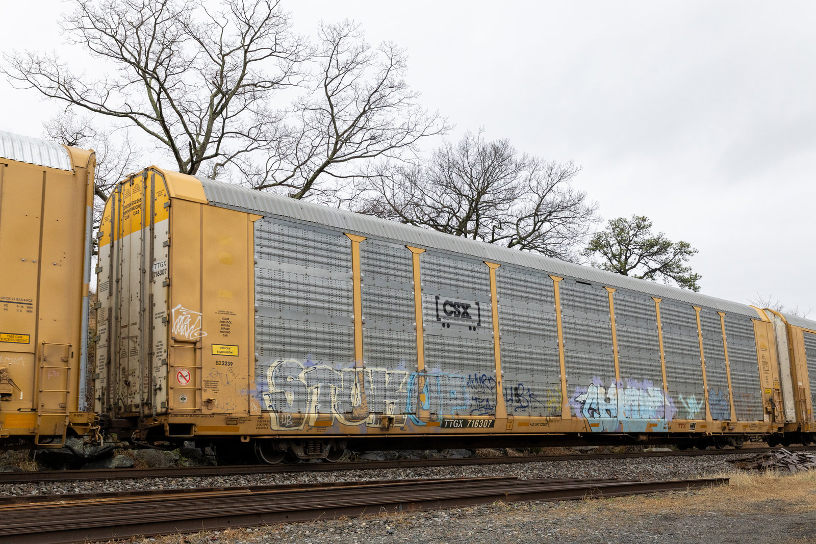 TTGX 716307