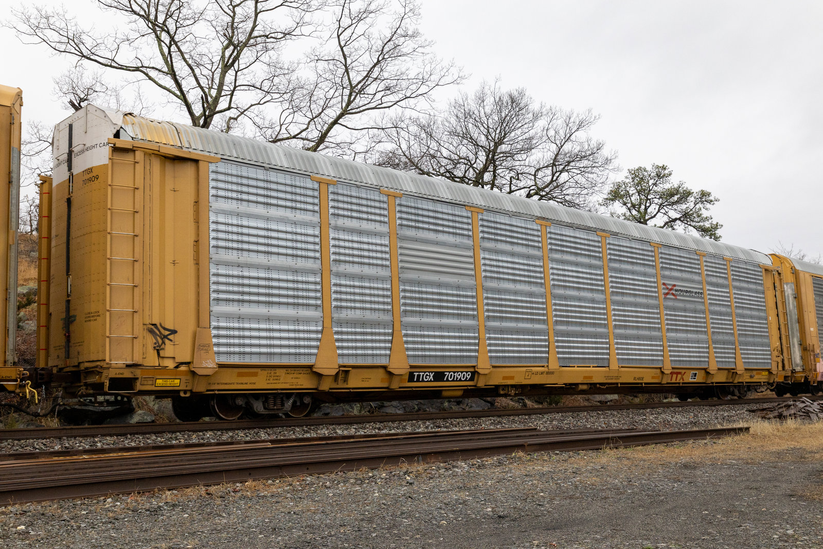 TTGX 701909