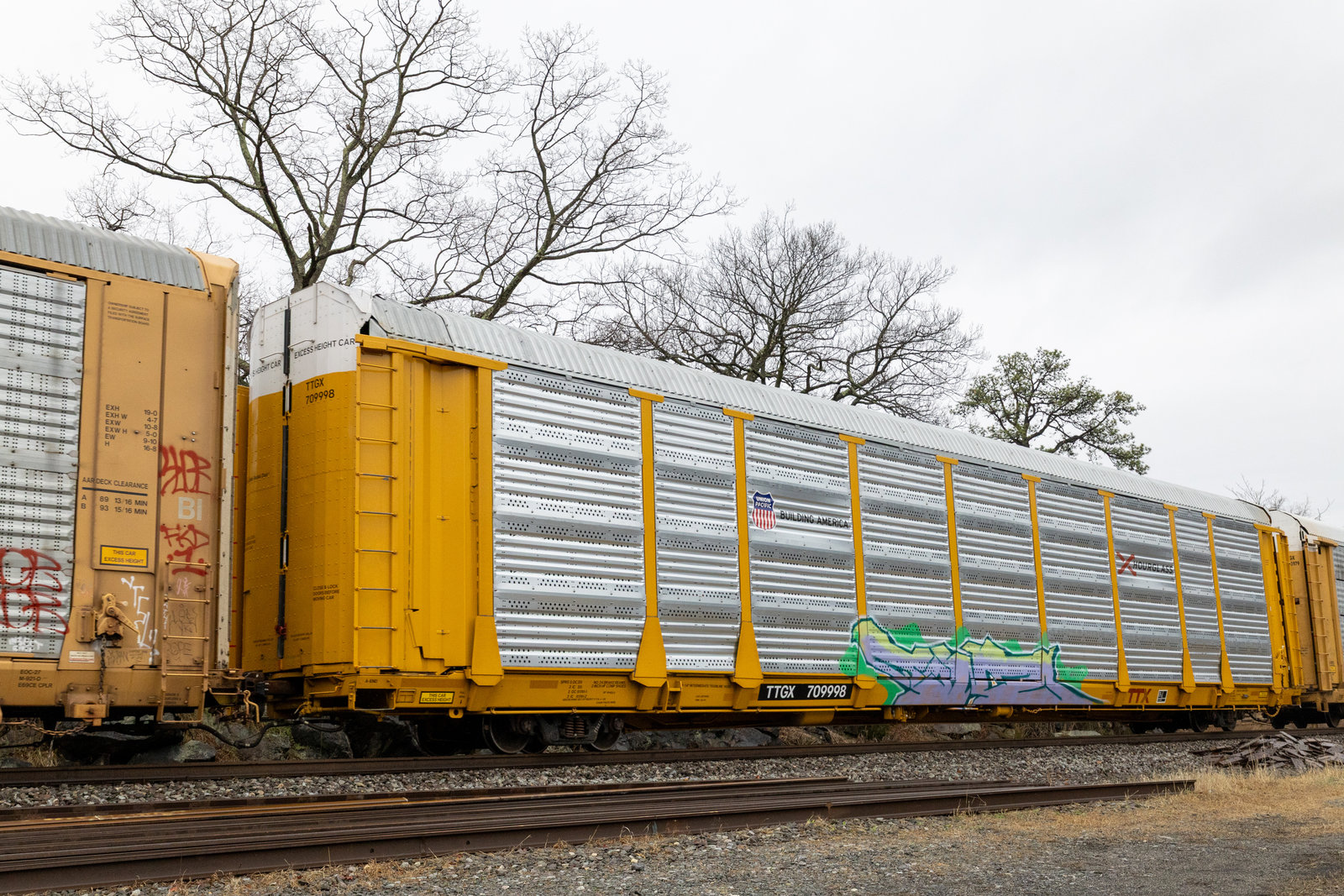TTGX 709998